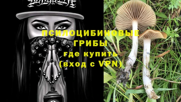 кокаин премиум Богданович