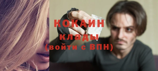 мдпв Бронницы