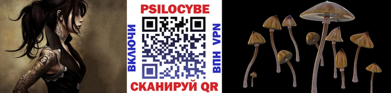 Псилоцибиновые грибы ЛСД  наркота  hydra вход  Борисоглебск 